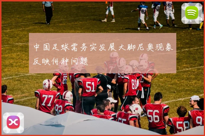 中国足球需务实发展大脚尼奥现象反映何种问题