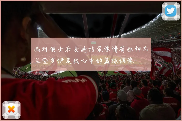 我对便士和麦迪的录像情有独钟布兰登罗伊是我心中的篮球偶像