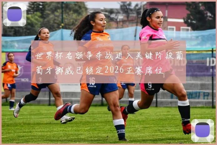 世界杯名额争夺战进入关键阶段葡萄牙挪威已锁定2026正赛席位