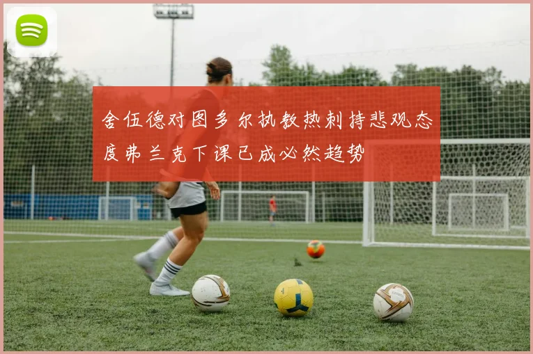 舍伍德对图多尔执教热刺持悲观态度弗兰克下课已成必然趋势