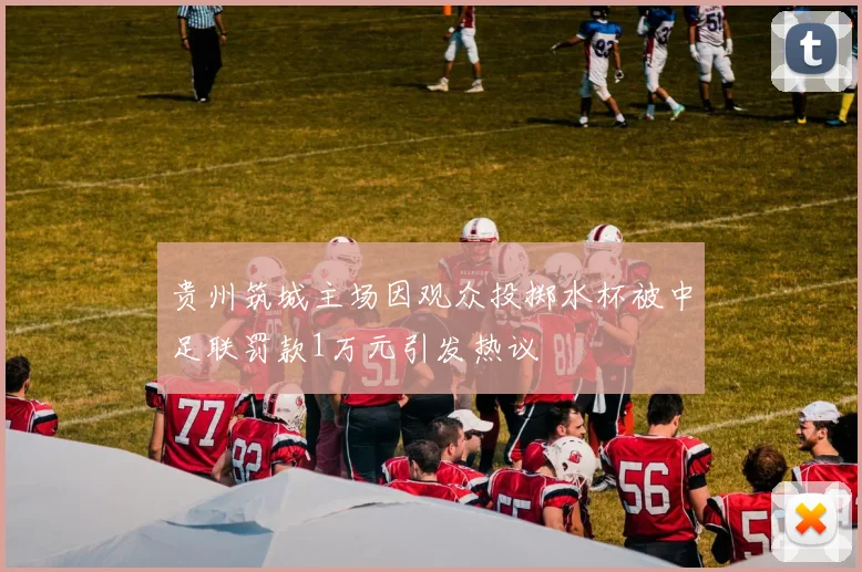 贵州筑城主场因观众投掷水杯被中足联罚款1万元引发热议