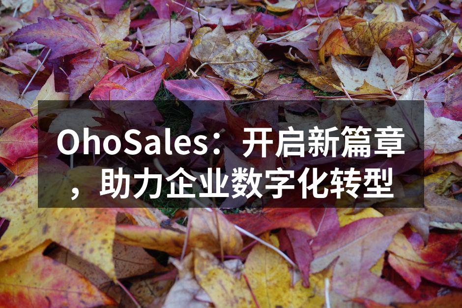 OhoSales：开启新篇章，助力企业数